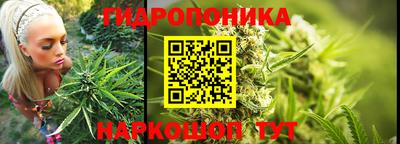 стаф Анжеро-Судженск