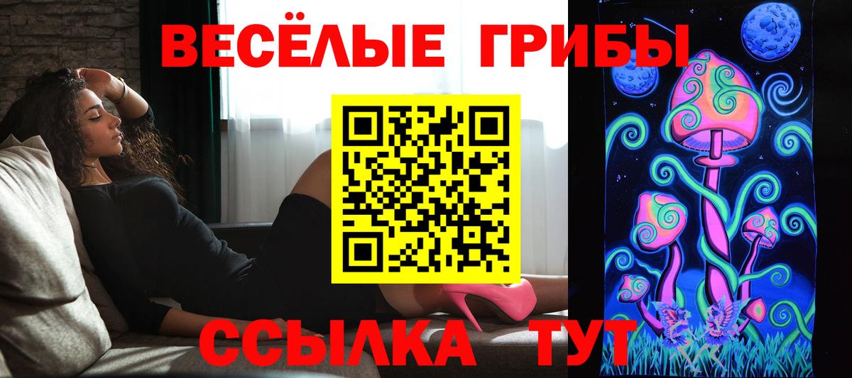 Вичуга  Галлюциногенные грибы Psilocybine cubensis  Вход с VPN 